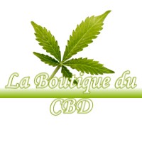 LA BOUTIQUE DU CBD DAMPIERRE-EN-BURLY 